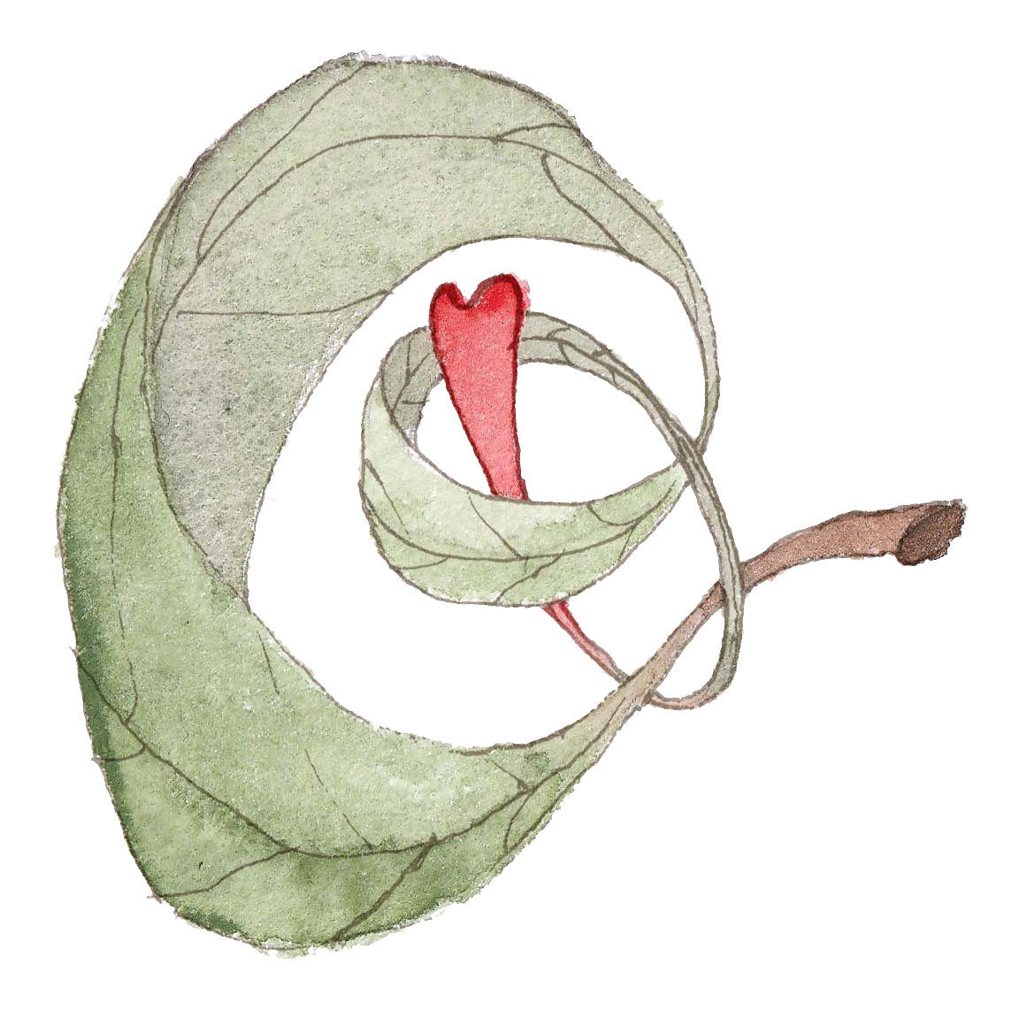 Logo - Opvoeden vanuit je pure essentie