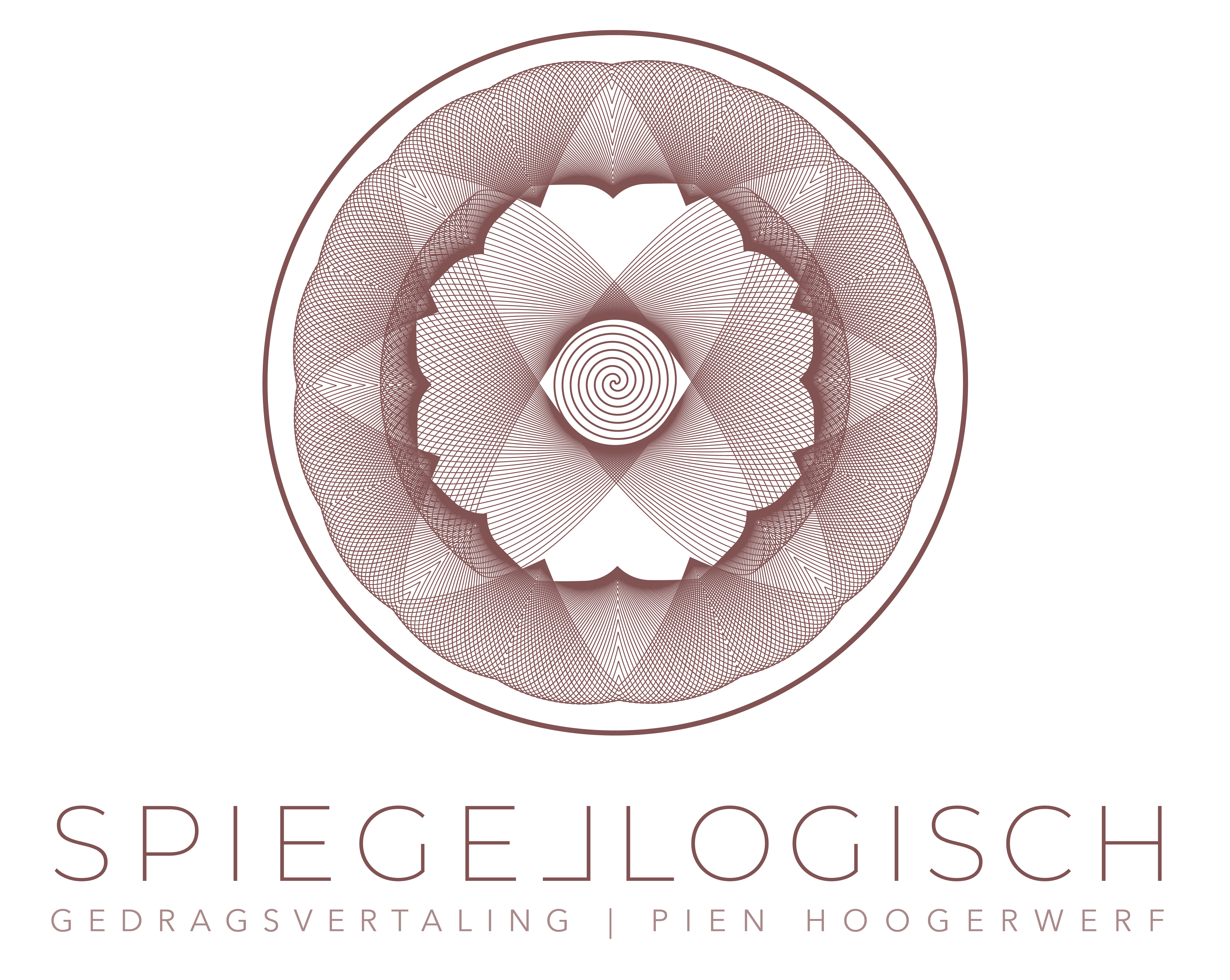 Logo - Spiegellogisch